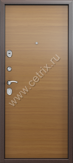 Входная дверь в квартиру эконом класса 660